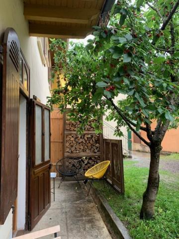 Charmant Appartement Sur Cour, Le Cerisier Bagneres-de-Bigorre Ngoại thất bức ảnh