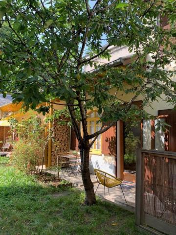 Charmant Appartement Sur Cour, Le Cerisier Bagneres-de-Bigorre Ngoại thất bức ảnh