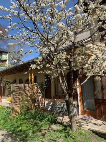Charmant Appartement Sur Cour, Le Cerisier Bagneres-de-Bigorre Ngoại thất bức ảnh